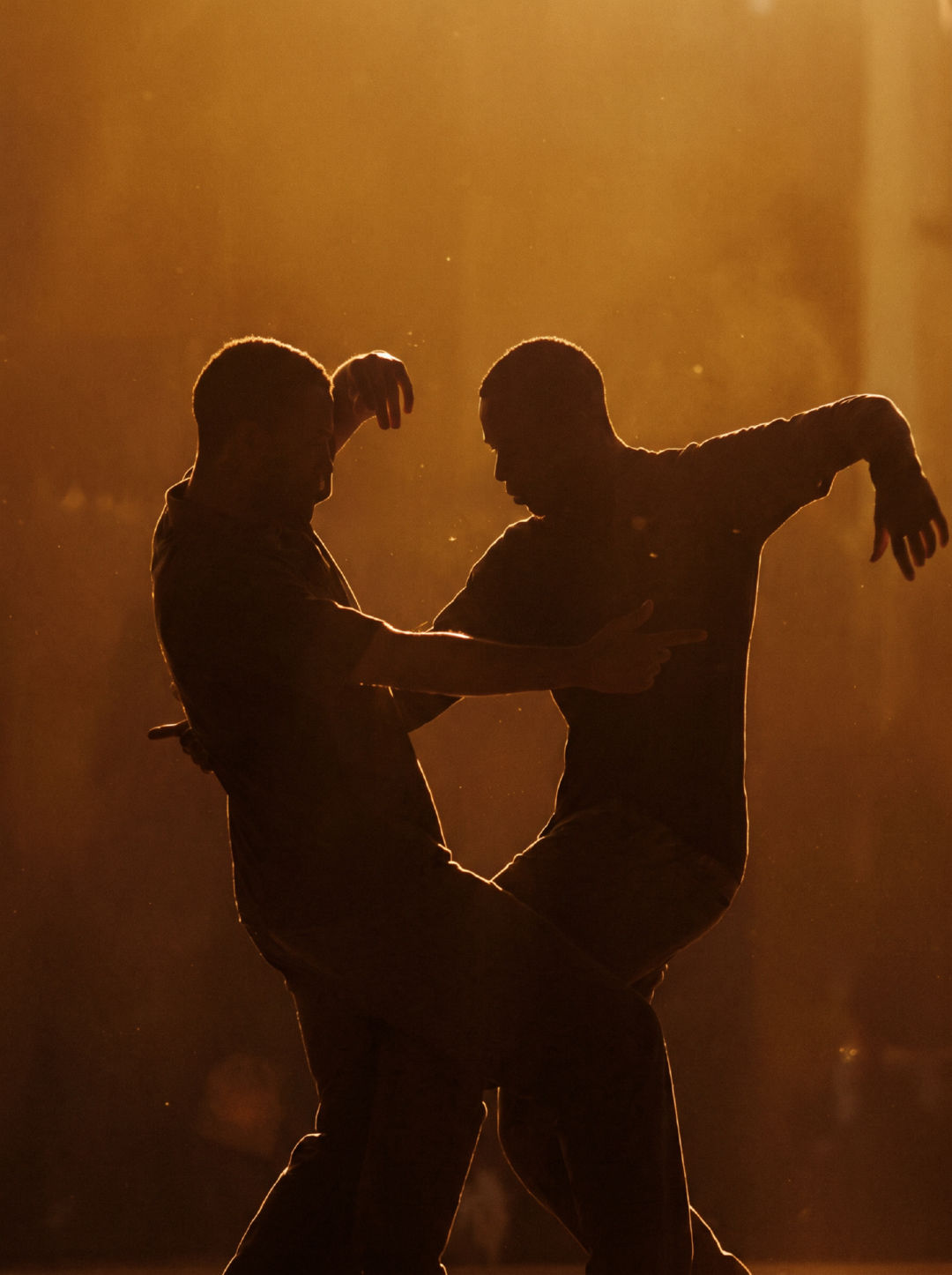 Two dancers in a duo pose in warm light